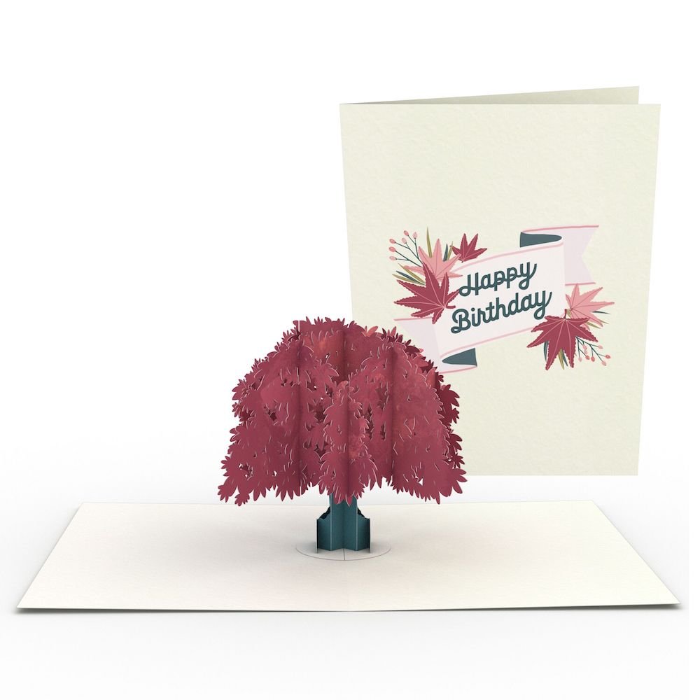 Lovepop - 4er - Pack Garten Geburtstags - Notizkarten 3D Pop - Up Kartenpaket - Onlineshop für außergewöhnliche Grußkarten und Paper Art - Online kaufen