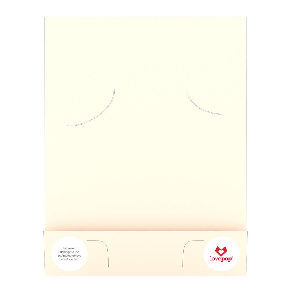 Lovepop - Geburtstagsballons - Riesiges Pop - up - Geschenk 3D Pop - Up Bouquet - Onlineshop für außergewöhnliche Grußkarten und Paper Art - Online kaufen