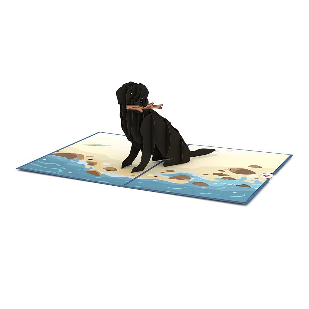Lovepop - Schwarzer Labrador Hunde 3D Pop - Up Karte - Onlineshop für außergewöhnliche Grußkarten und Paper Art - Online kaufen