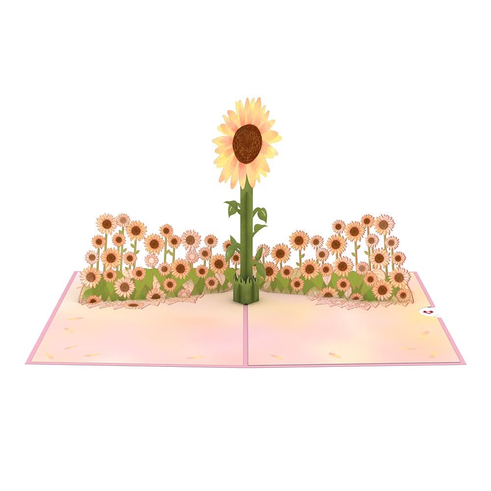 Lovepop - Sonnenblumen - Sonnenaufgang 3D Pop - Up Karte - Onlineshop für außergewöhnliche Grußkarten und Paper Art - Online kaufen