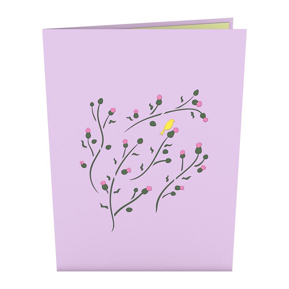 Lovepop - Stieglitz 3D Pop - Up Karte - Onlineshop für außergewöhnliche Grußkarten und Paper Art - Online kaufen