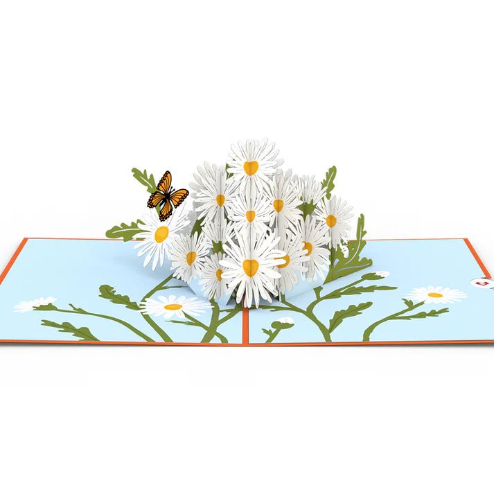 Lovepop.de - 3D Pop - Up Grußkarte Gänseblümchen mit Schmetterling - Onlineshop für außergewöhnliche Grußkarten und Paper Art - Online kaufen