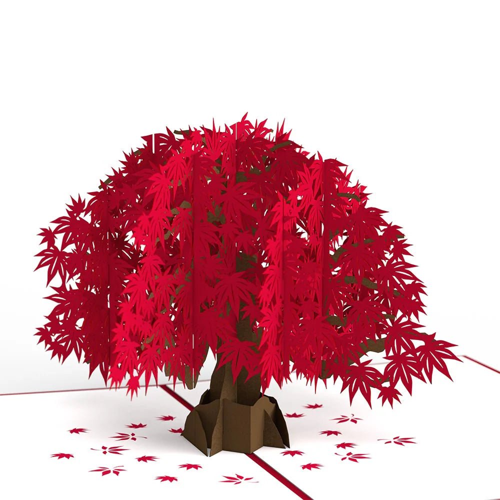 Einfach so! 3D Pop-Up Karten & Papierkunst für universelle Anlässe - Lovepop.de