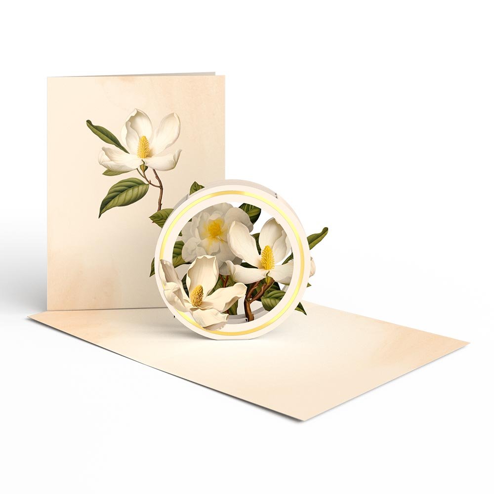 Lovepop - 12er - Pack Schöne Botanicals Blumen 3D Pop - Up Kartenpaket - Onlineshop für außergewöhnliche Grußkarten und Paper Art - Online kaufen