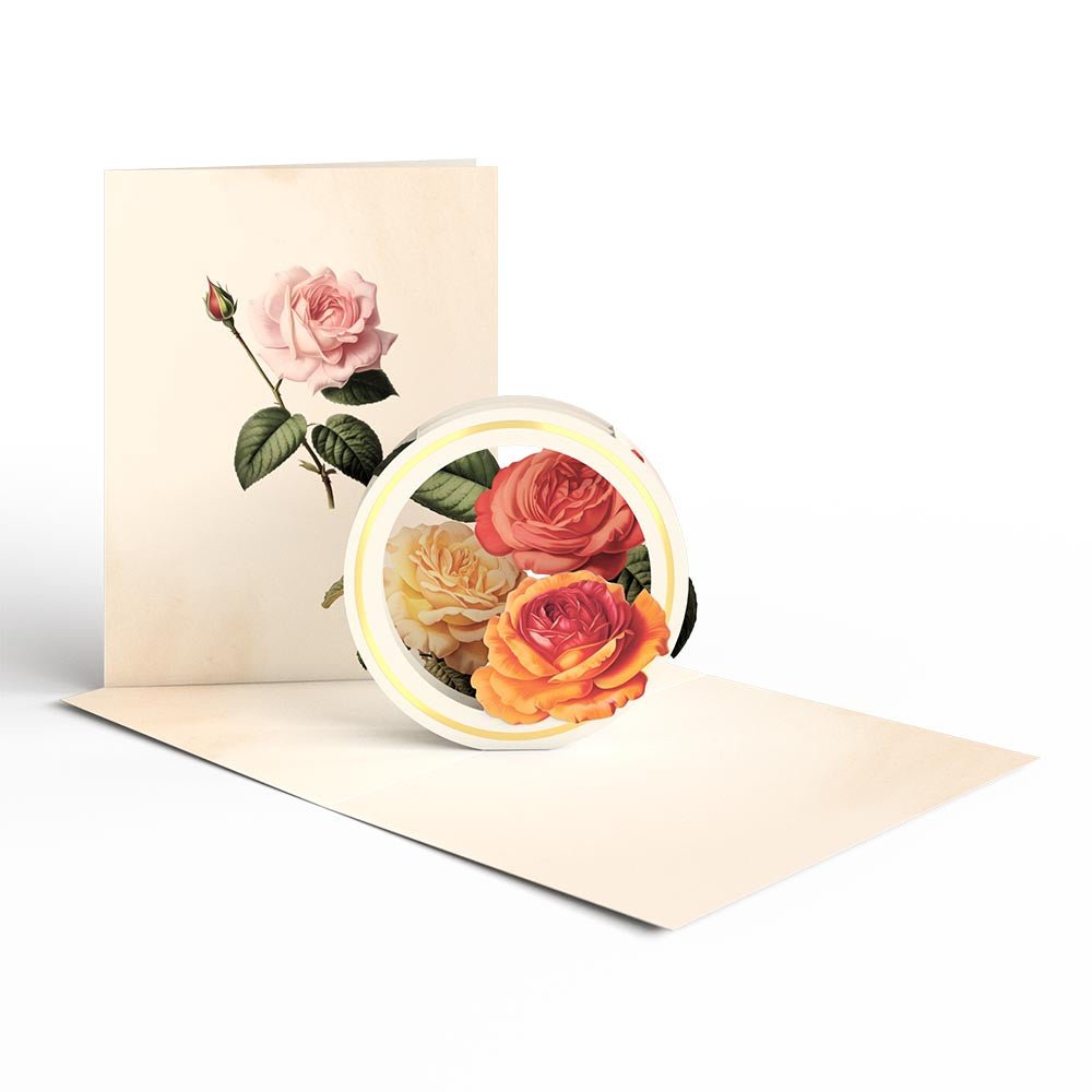 Lovepop - 12er - Pack Schöne Botanicals Blumen 3D Pop - Up Kartenpaket - Onlineshop für außergewöhnliche Grußkarten und Paper Art - Online kaufen