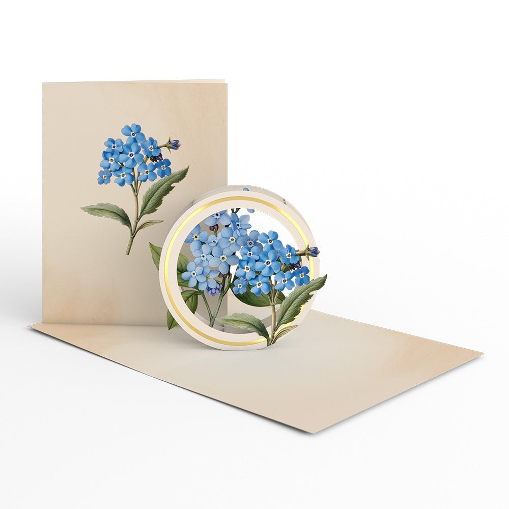 Lovepop - 12er - Pack Schöne Botanicals Blumen 3D Pop - Up Kartenpaket - Onlineshop für außergewöhnliche Grußkarten und Paper Art - Online kaufen