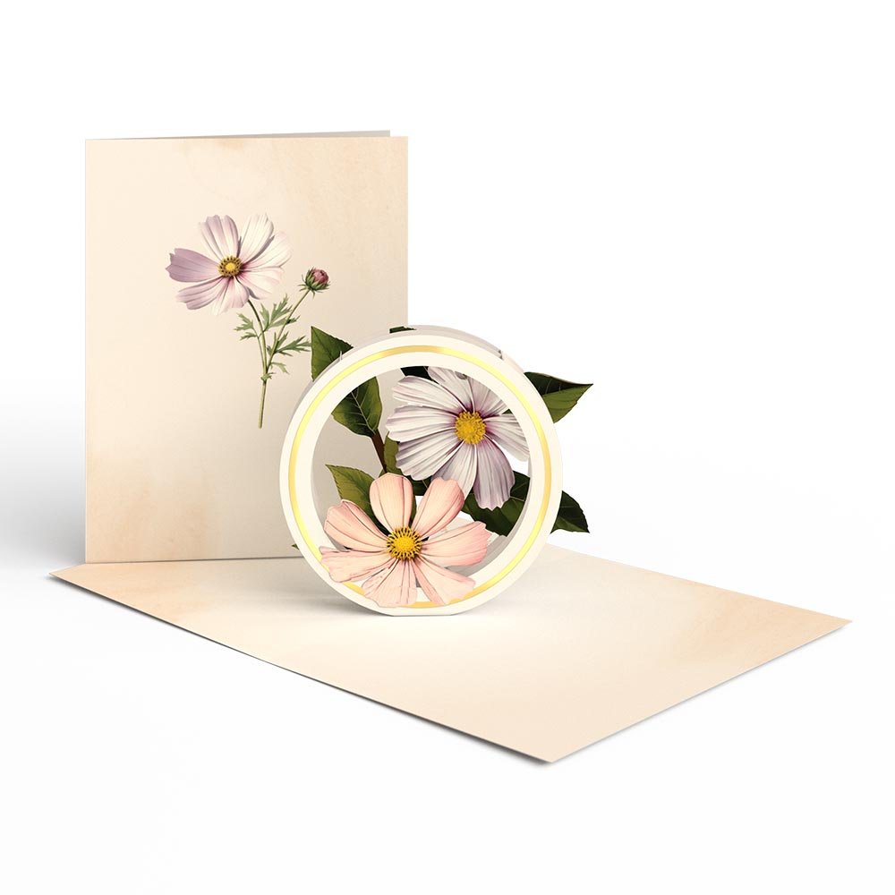 Lovepop - 12er - Pack Schöne Botanicals Blumen 3D Pop - Up Kartenpaket - Onlineshop für außergewöhnliche Grußkarten und Paper Art - Online kaufen