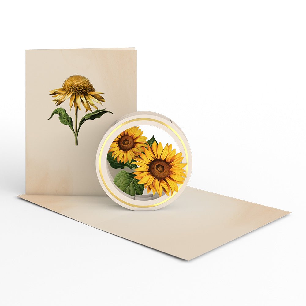 Lovepop - 12er - Pack Schöne Botanicals Blumen 3D Pop - Up Kartenpaket - Onlineshop für außergewöhnliche Grußkarten und Paper Art - Online kaufen