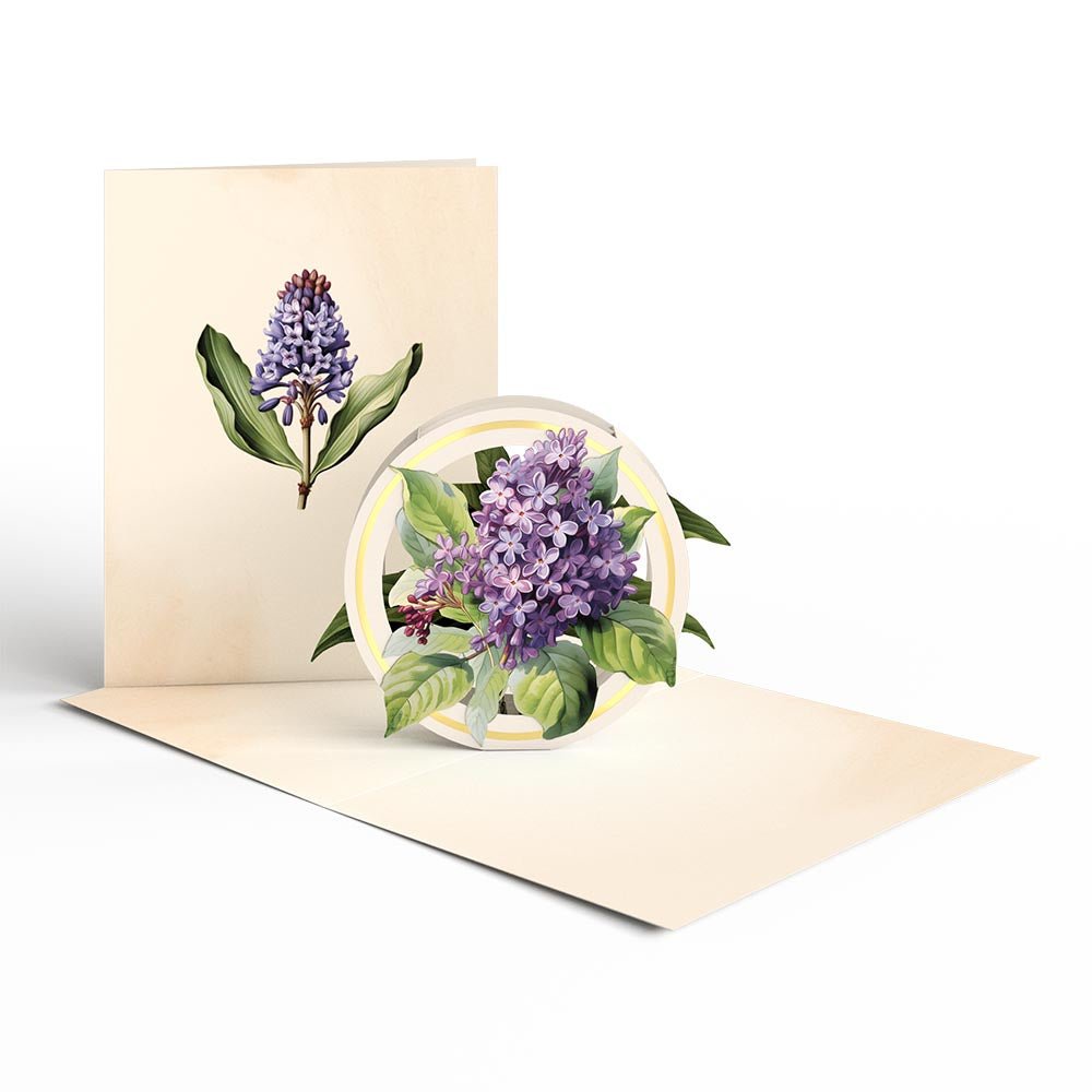 Lovepop - 12er - Pack Schöne Botanicals Blumen 3D Pop - Up Kartenpaket - Onlineshop für außergewöhnliche Grußkarten und Paper Art - Online kaufen