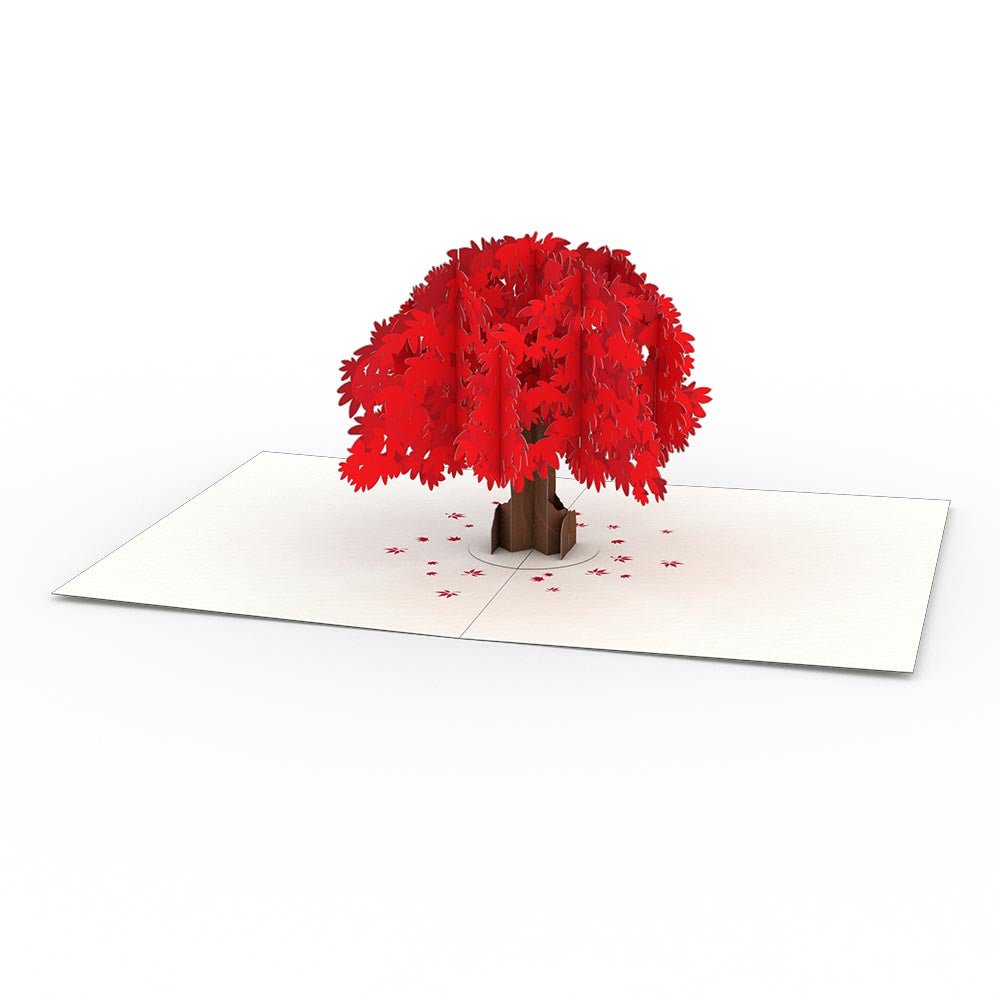 Lovepop - 4er - Pack Garten - Notizkarten 3D Pop - Up Kartenpaket - Onlineshop für außergewöhnliche Grußkarten und Paper Art - Online kaufen