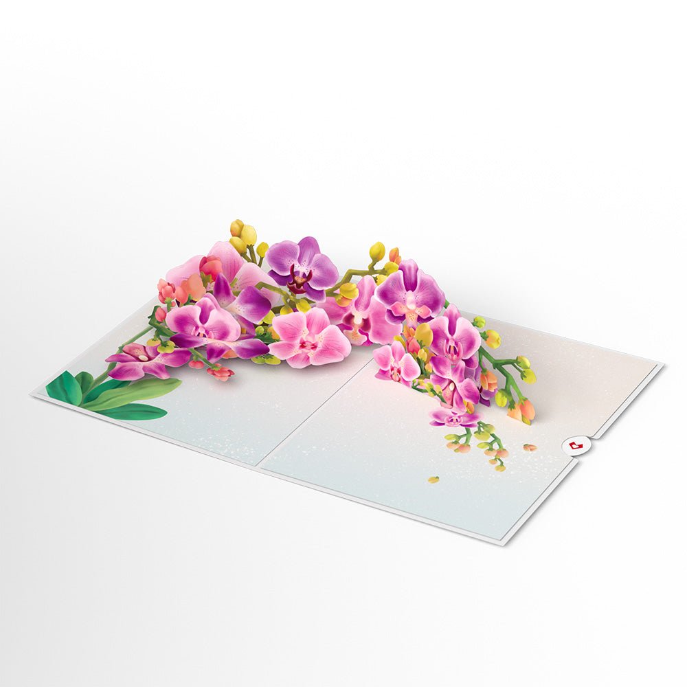 Lovepop - Aquarell - Orchideen 3D Pop - Up Karte - Onlineshop für außergewöhnliche Grußkarten und Paper Art - Online kaufen