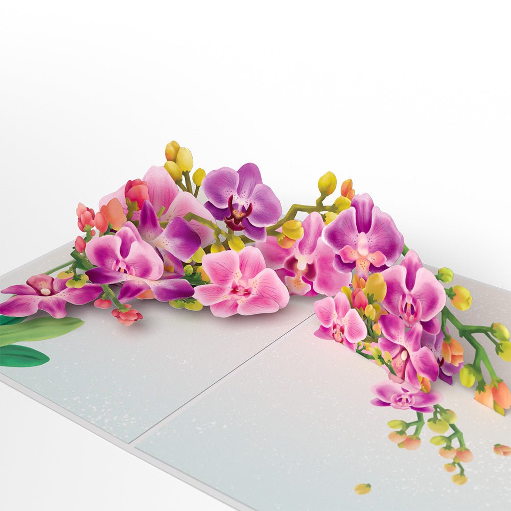 Lovepop - Aquarell - Orchideen 3D Pop - Up Karte - Onlineshop für außergewöhnliche Grußkarten und Paper Art - Online kaufen