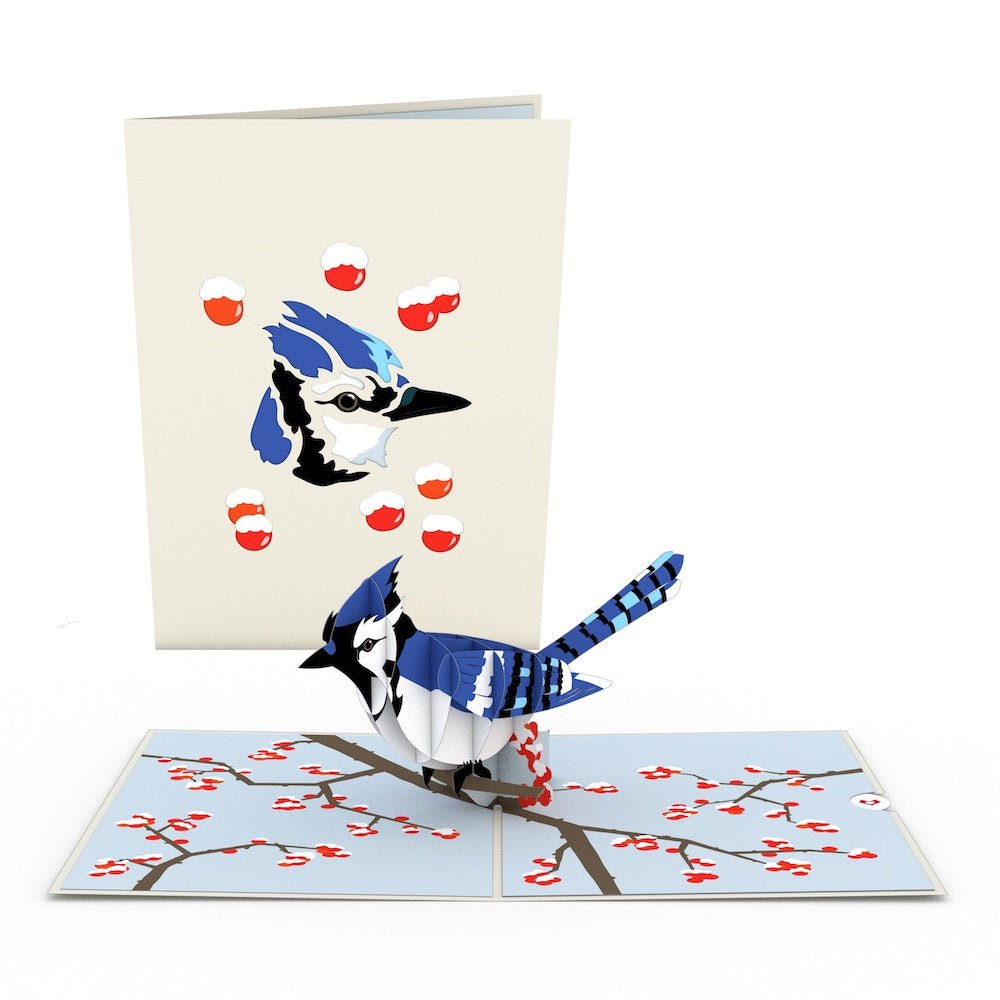 Lovepop - Blue Jay Blauhäher 3D Pop - Up Karte - Onlineshop für außergewöhnliche Grußkarten und Paper Art - Online kaufen