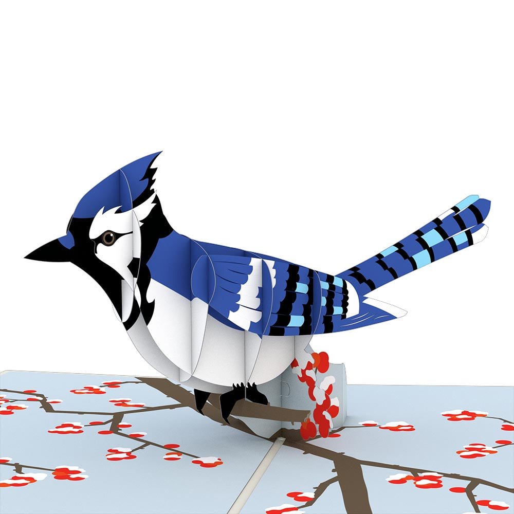 Lovepop - Blue Jay Blauhäher 3D Pop - Up Karte - Onlineshop für außergewöhnliche Grußkarten und Paper Art - Online kaufen