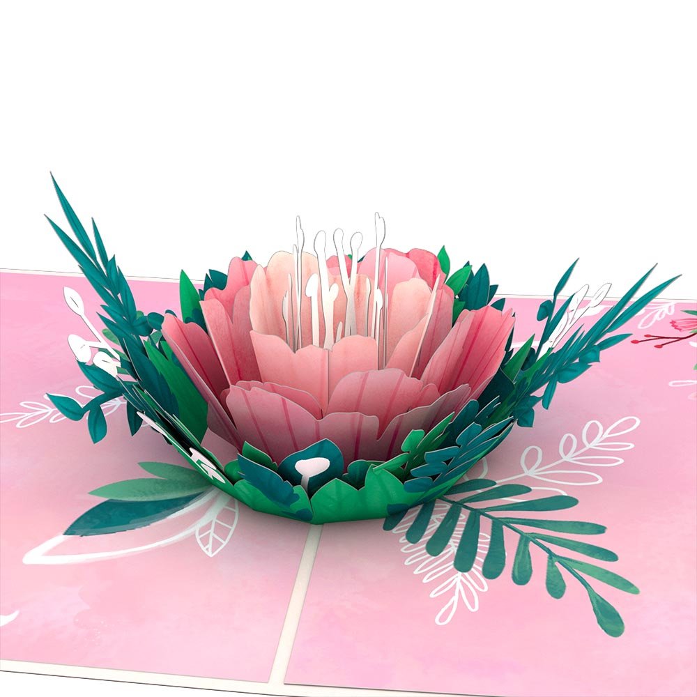 Lovepop - Gartenrosenblüte 3D Pop - Up Karte - Onlineshop für außergewöhnliche Grußkarten und Paper Art - Online kaufen