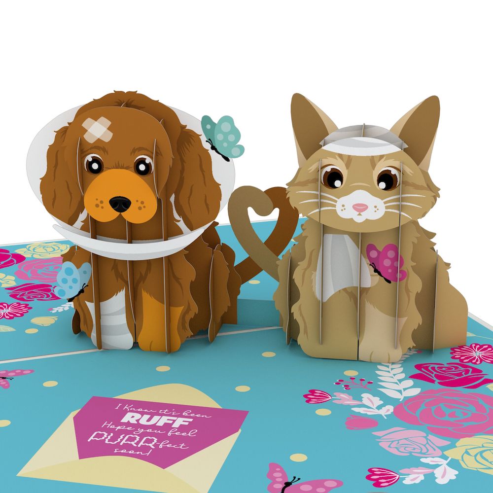 Lovepop - Gute Besserung für Haustiere, Katze & Hund 3D Pop - Up Karte - Onlineshop für außergewöhnliche Grußkarten und Paper Art - Online kaufen