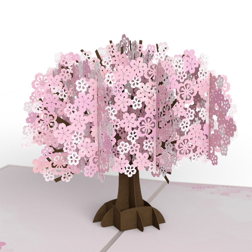 Lovepop - Kirschblüte 3D Pop - Up Karte - Onlineshop für außergewöhnliche Grußkarten und Paper Art - Online kaufen