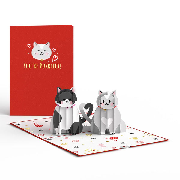3D Pop-up Valentinstagskarte Mit Katze Und Rose | Für Liebhaber, Geburtstag & Jahrestag | Inkl. Umschlag