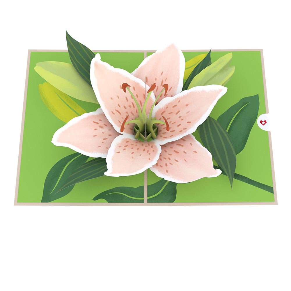 Lovepop - Lily Bloom zum Muttertag 3D Pop - Up Karte - Onlineshop für außergewöhnliche Grußkarten und Paper Art - Online kaufen