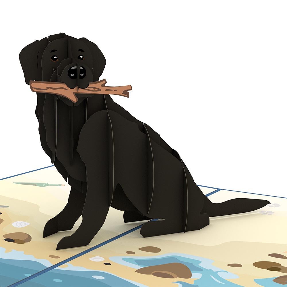 Lovepop - Schwarzer Labrador Hunde 3D Pop - Up Karte - Onlineshop für außergewöhnliche Grußkarten und Paper Art - Online kaufen