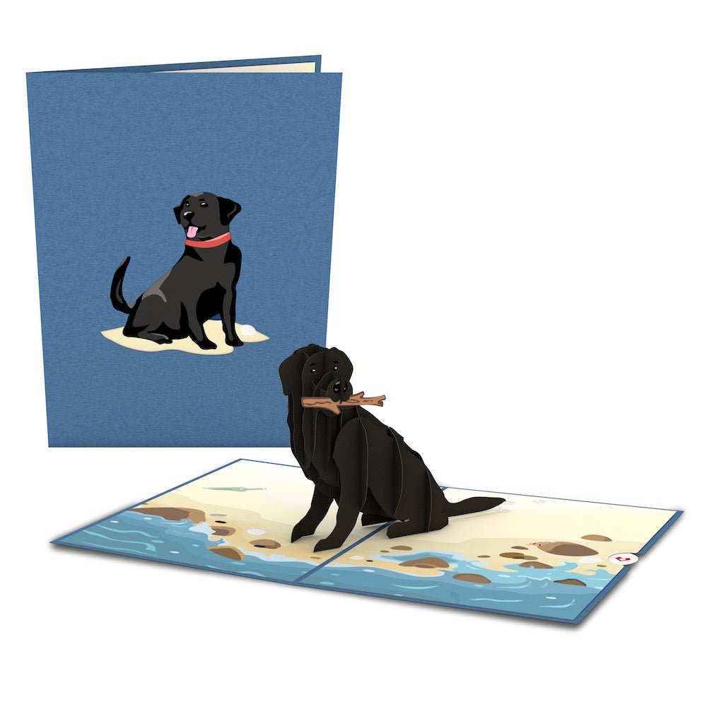 Lovepop - Schwarzer Labrador Hunde 3D Pop - Up Karte - Onlineshop für außergewöhnliche Grußkarten und Paper Art - Online kaufen