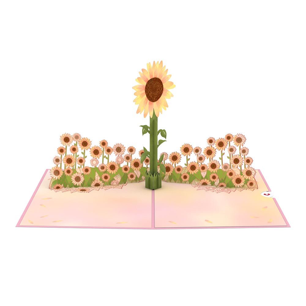 Lovepop - Sonnenblumen - Sonnenaufgang 3D Pop - Up Karte - Onlineshop für außergewöhnliche Grußkarten und Paper Art - Online kaufen