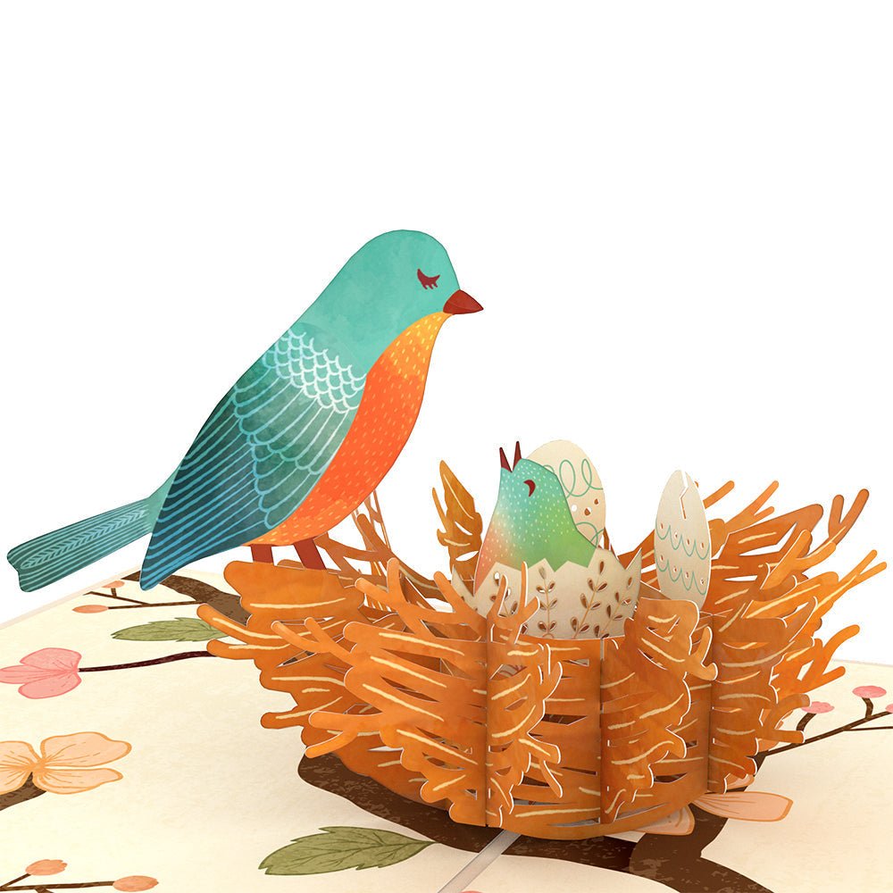 Lovepop - Vogelnest 3D Pop - Up Karte - Onlineshop für außergewöhnliche Grußkarten und Paper Art - Online kaufen