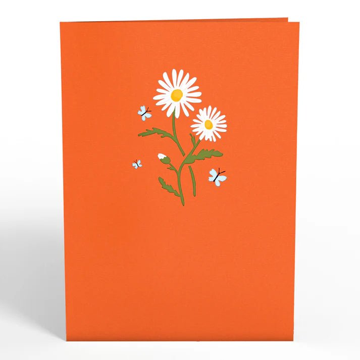 Lovepop.de - 3D Pop - Up Grußkarte Gänseblümchen mit Schmetterling - Onlineshop für außergewöhnliche Grußkarten und Paper Art - Online kaufen