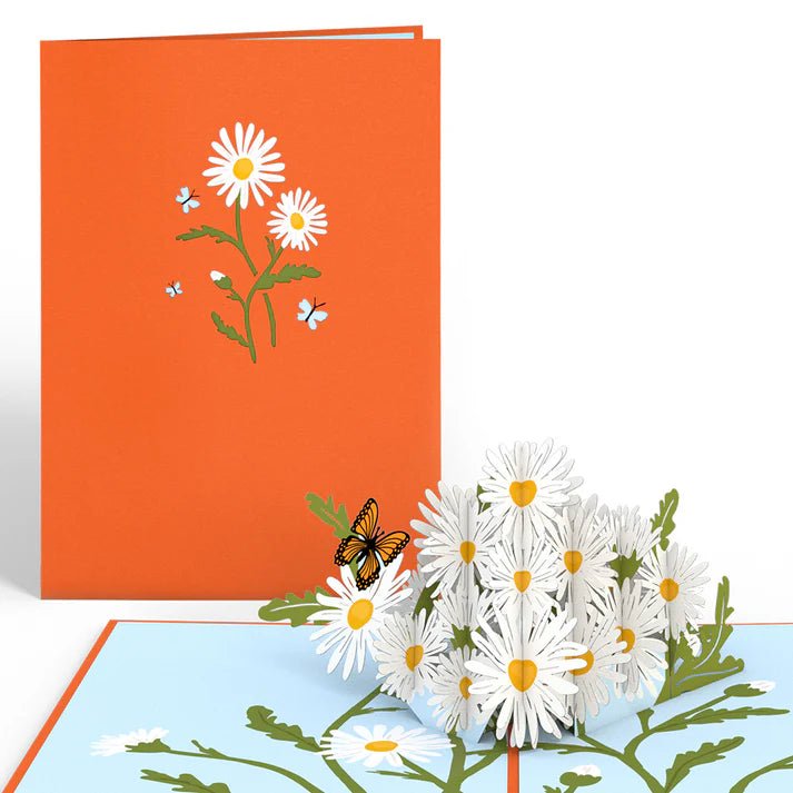 Lovepop.de - 3D Pop - Up Grußkarte Gänseblümchen mit Schmetterling - Onlineshop für außergewöhnliche Grußkarten und Paper Art - Online kaufen